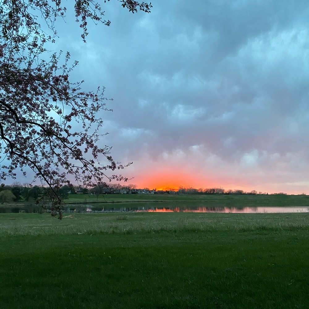 Meet your Posher, Amy